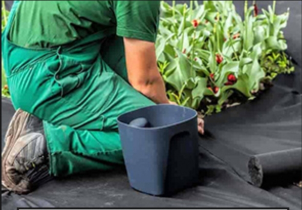 Non Woven Fabric Roll Rollo de tela no tejido