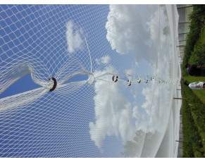 bird net red de aves