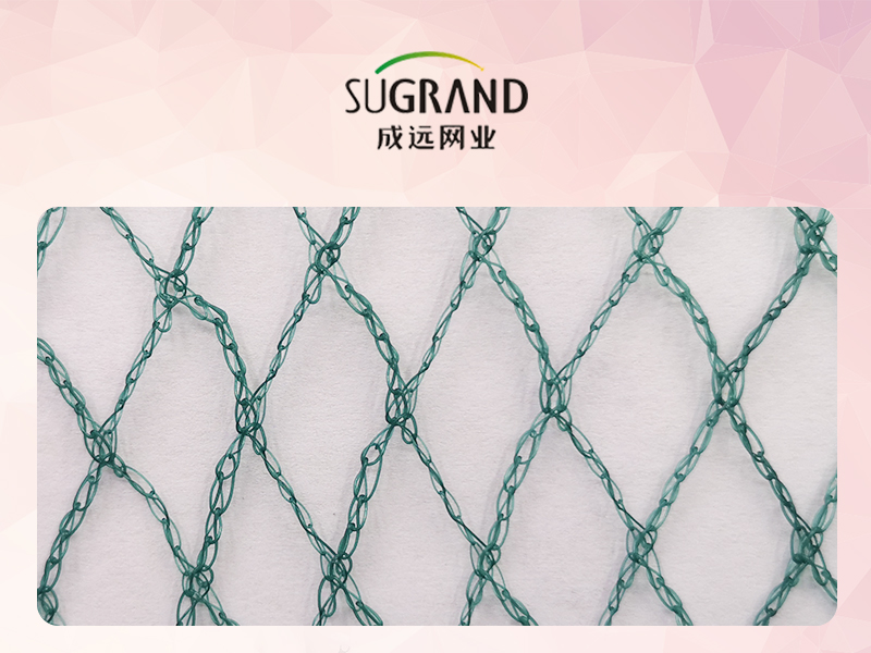 MM-30g-DG-2 MM-30g-DG-2