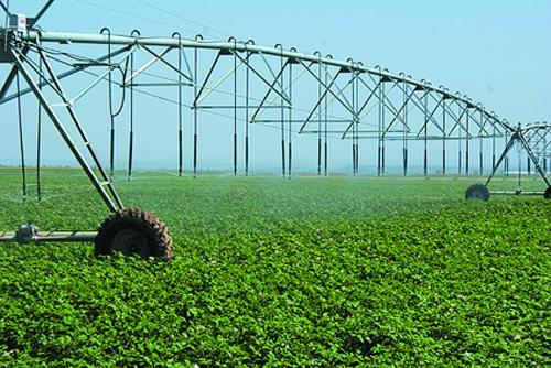 agriculture plastic net red plastica agricultura