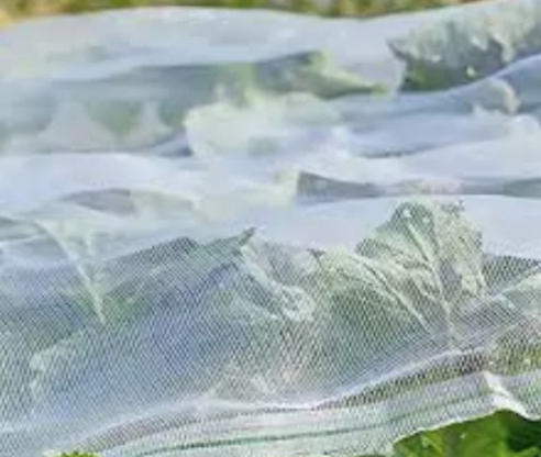 anti insect net red contra insectos