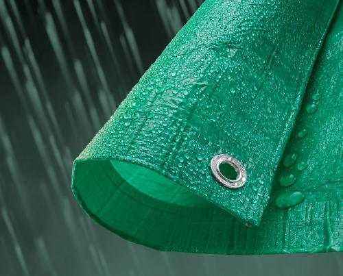 pe Educación física