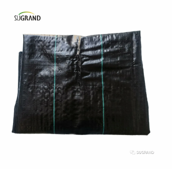 ground cover cobertura del suelo