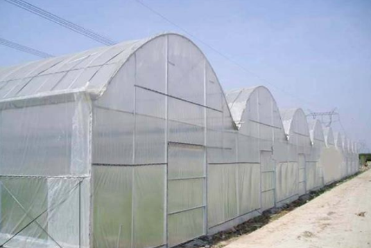 anti insect net red contra insectos