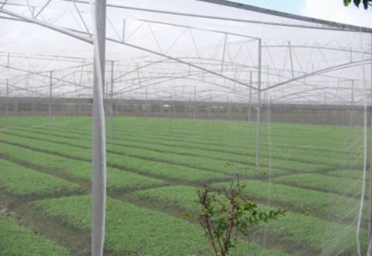 anti insect net red contra insectos