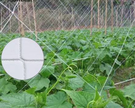 plant support net red de soporte de plantas
