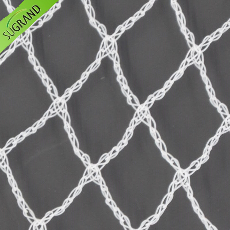 red anti p&aacute;jaros 