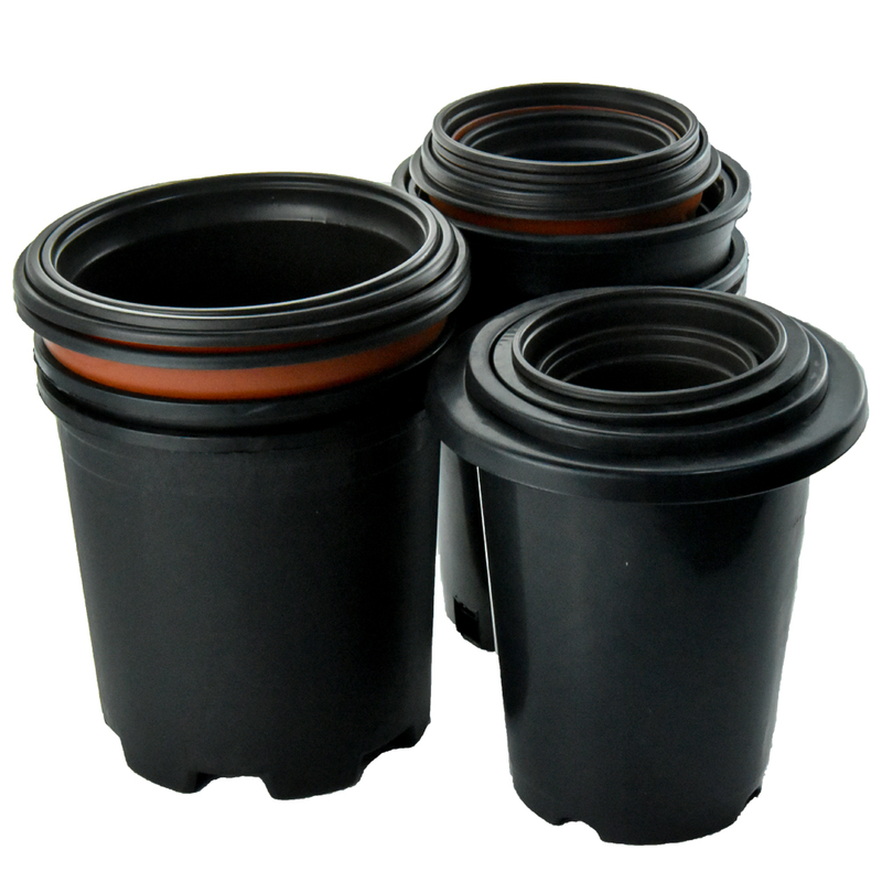 Bandejas duraderas de viverales de plantas de color negro para plantas de trasplante