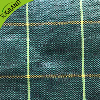 Cubierta de tierra verde de alta calidad de 130 GSM