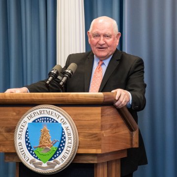 red de sombra agricultura