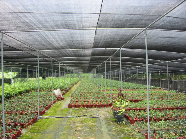 red de sombra