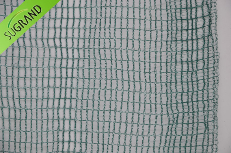 Red de aceitunas de cosecha 60 GSM Verde Oscuro