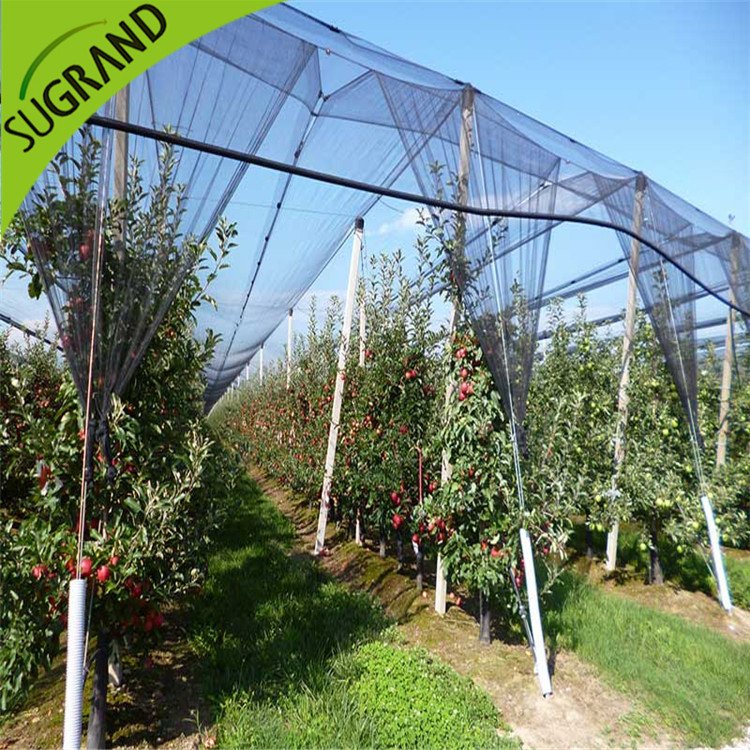 Nuevo HDPE negro anti Bee Net en línea