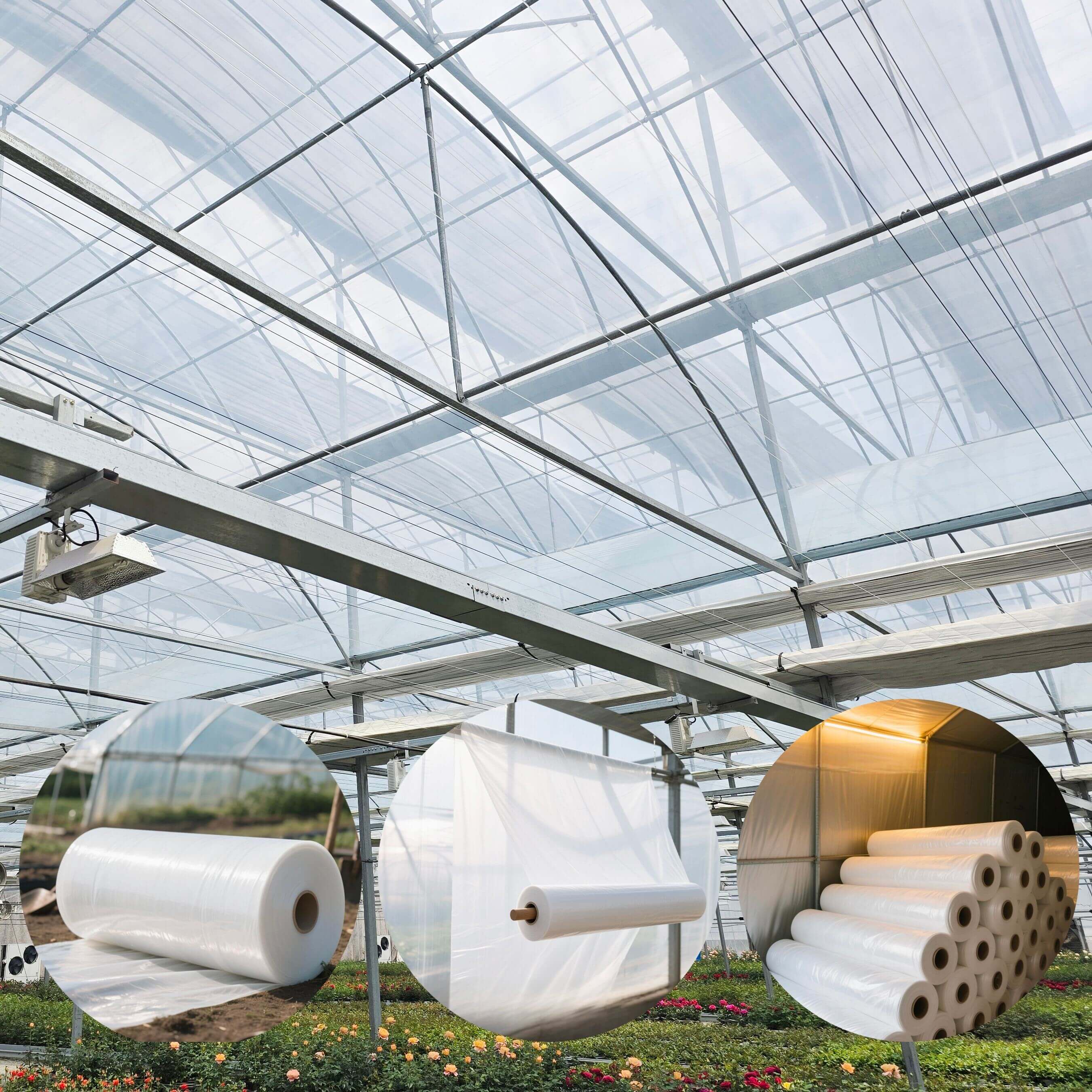 película de invernadero