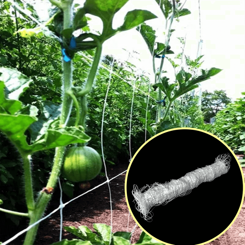 Soporte de plantas enrejado de jardín neto para trepar a las plantas al aire libre