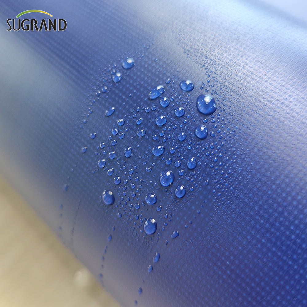 Lona Azul 12x24 Lona Transparente Heavy Duty 