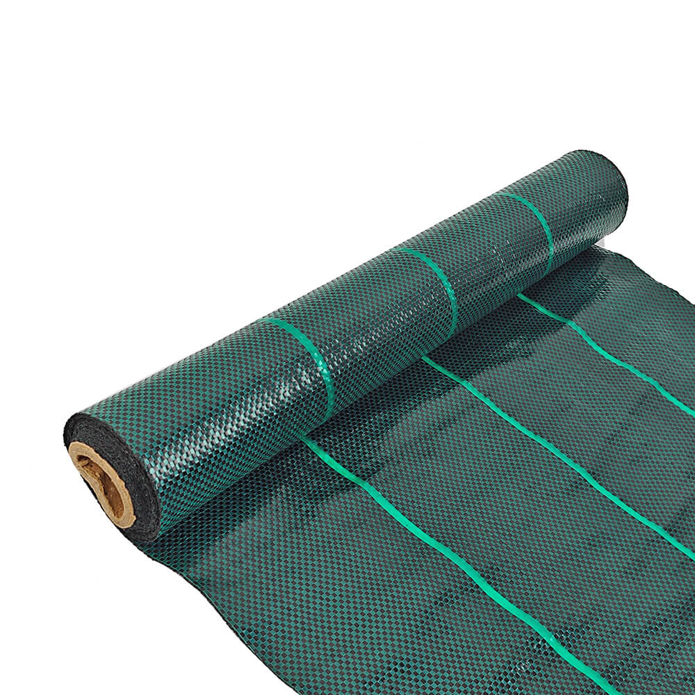 Fábrica de telas de paisaje de cubierta de suelo verde oscuro