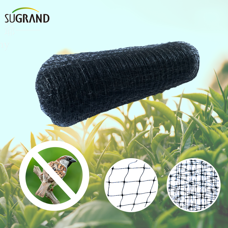 HDPE 200m Neta antihorada extruida para proteger la fruta vegetal