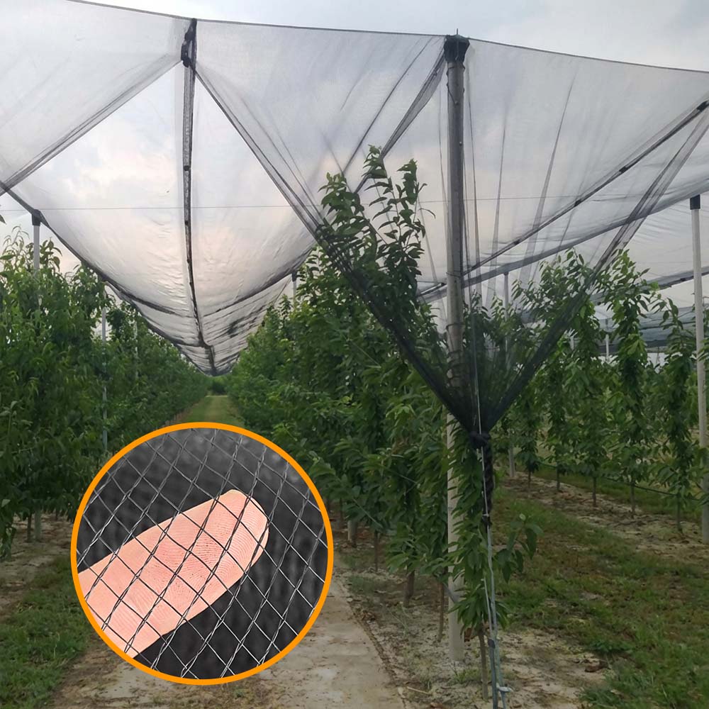 SUGRAND Red Anti Granizo para Granjas Huertos