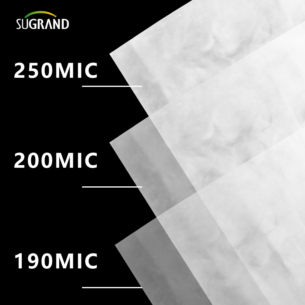 150 micron-250 micron UV UV Clear Greenhouse Spreading Spreading Film Film
