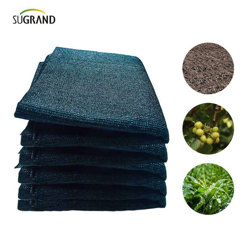 Neta de sombra de cinta negra y verde de seis agujas