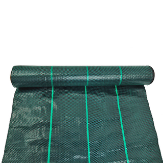 Fábrica de telas de paisaje de cubierta de suelo verde oscuro