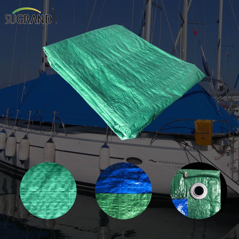Lona de lona de plástico PE Blue-verde lona para agricultura para la agricultura