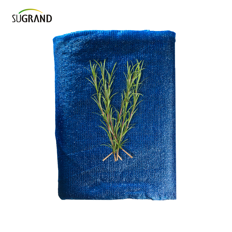 Seis agujas mono+cinta neta de sombra azul