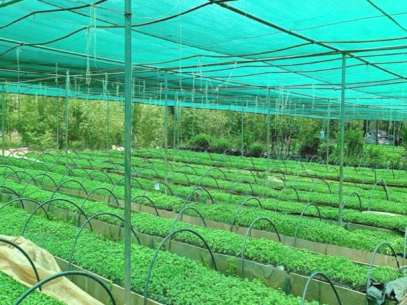 Agrícola Malla sombra
