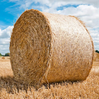 Red para pacas de paletas Red para envoltura de ensilaje al por mayor