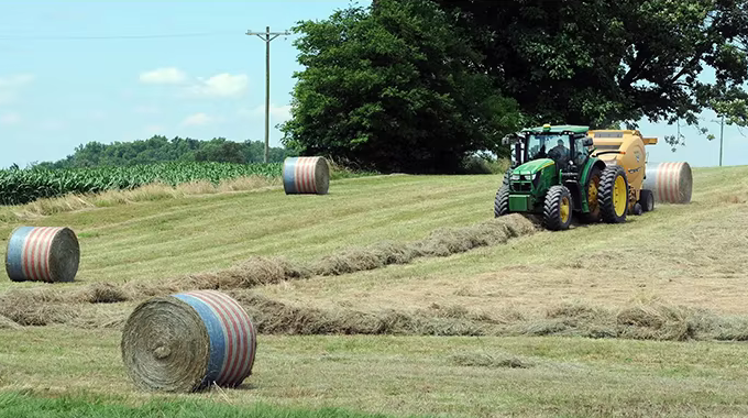 red de balas de paleta