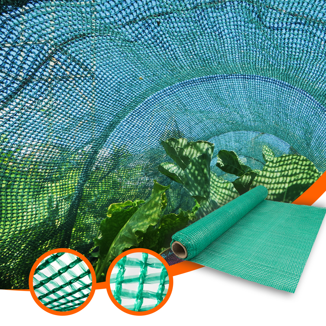 Sombra neta 70% Agricultural Green House Shade Net Manufactura