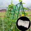 Garden verde blanco Balck enrejado