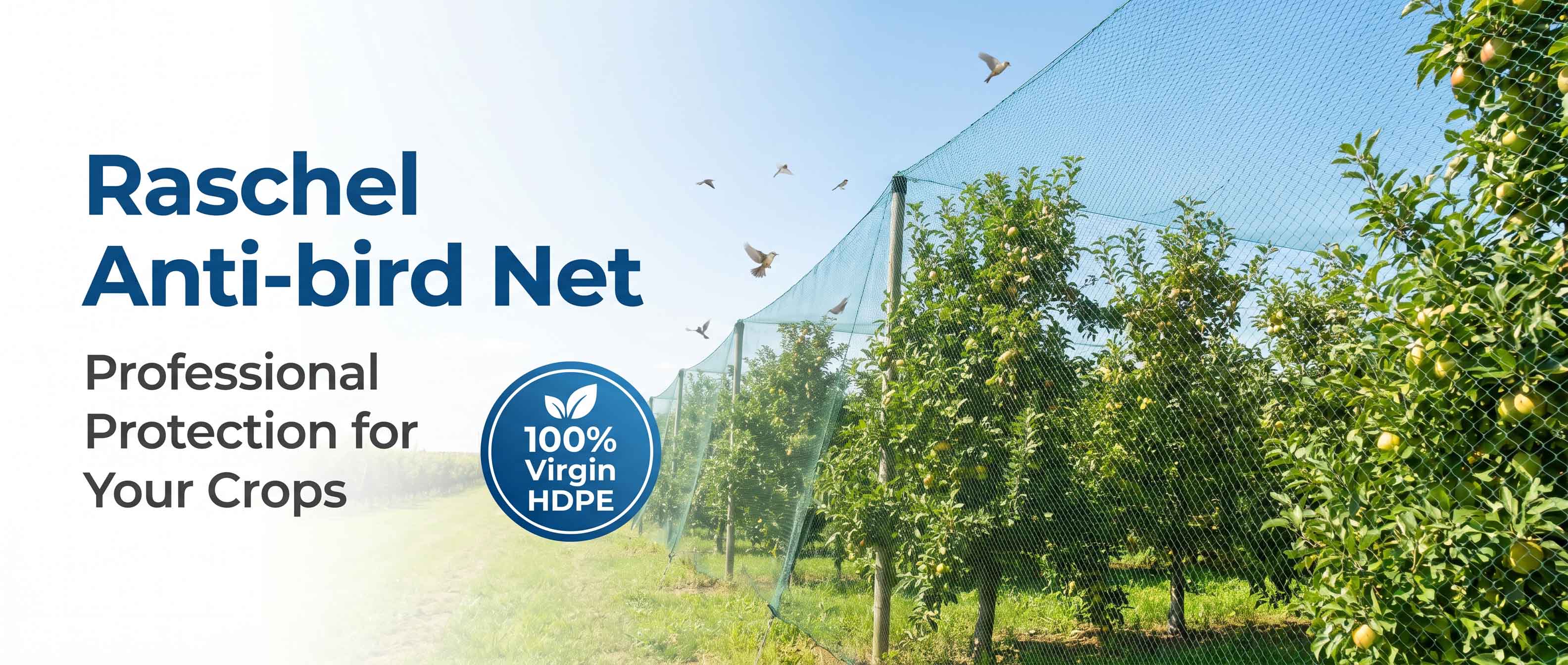 red para p&aacute;jaros.jpg