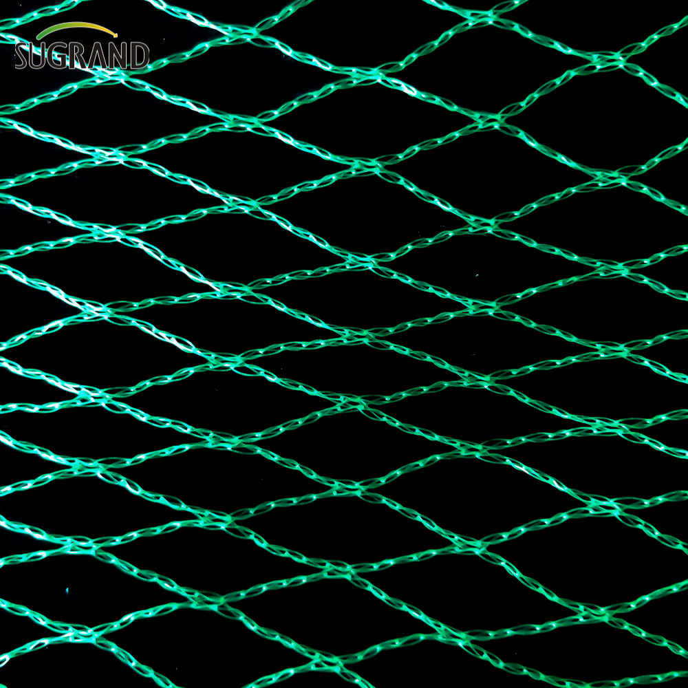 Green Bird Net 4x30m Net Net para proveedores del mercado de Tailandia