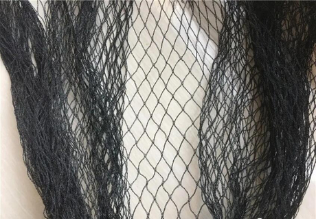 bird net.jpg