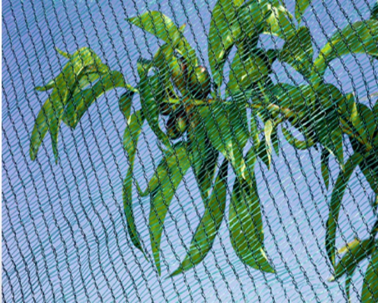 Salir de red para jardines al por mayor