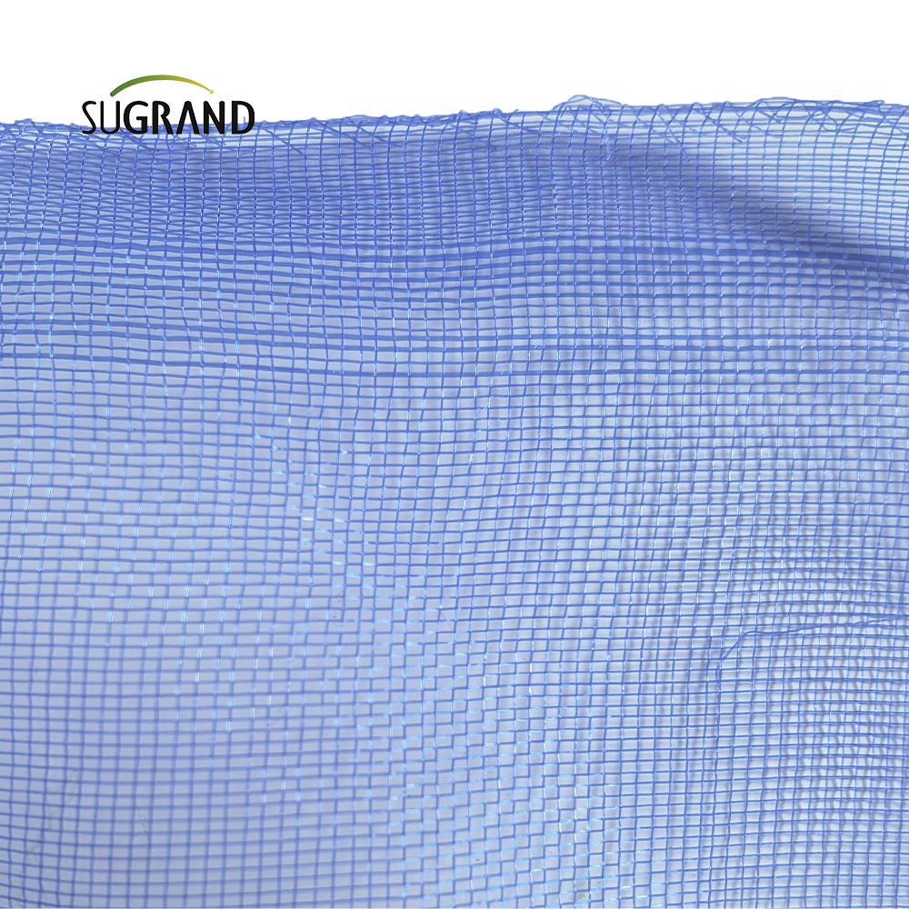Mala de red de insectos de pantalla azul de Nigeria para ventanas o puertas 