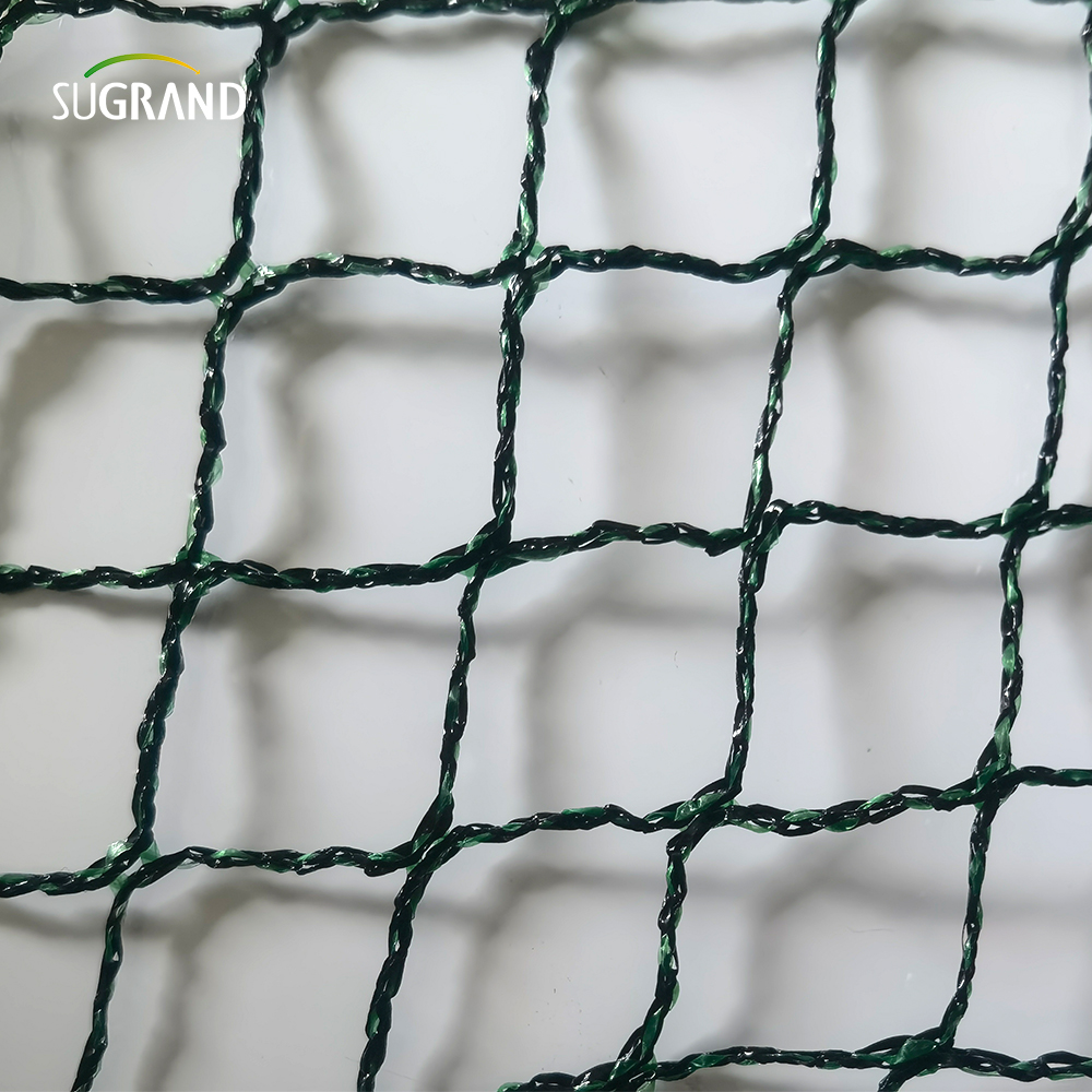 República Checa100% HDPE+UV 25GSM 20*20 mm MESH 5*6/12M Agricultura verde negro Catching Bird Mist Netting