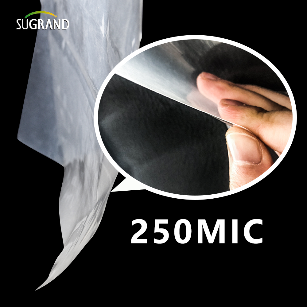 150 micron-250 micron UV UV Clear Greenhouse Spreading Spreading Film Film