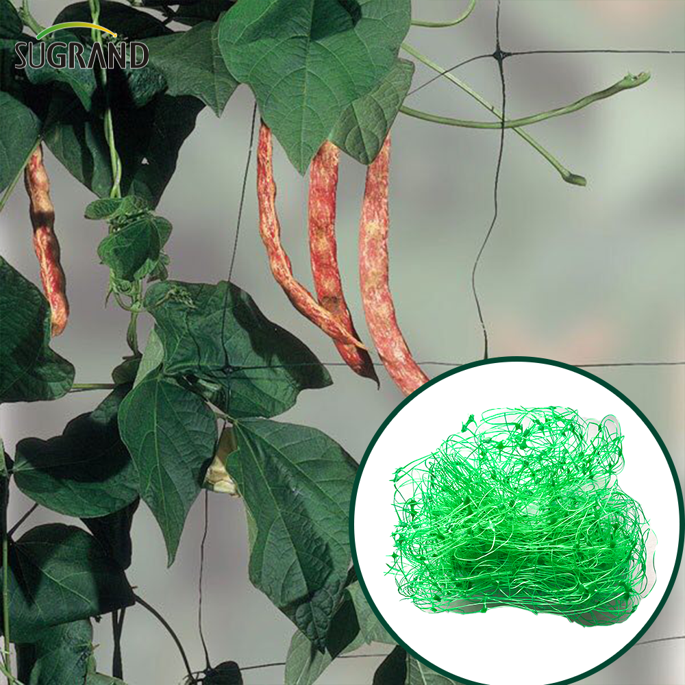 8gsm-10gsm Red de soporte de planta de HDPE verde