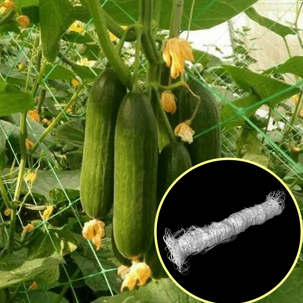 Soporte de plantas enrejado de jardín neto para trepar a las plantas al aire libre