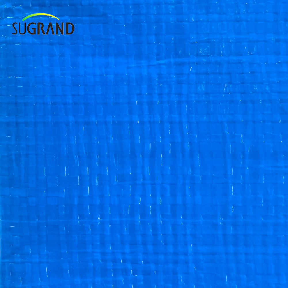 Fabricante de lona de PVC resistente al agua azul duradero de alta resistencia 