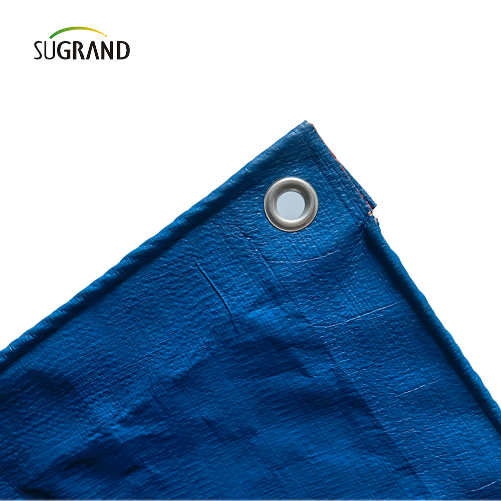 Orange and Blue UV Protect Plass PE Tarpaulin Agricultura Fabricantes de cobertura industrial