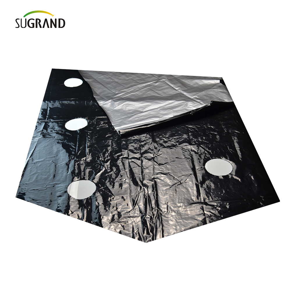 proveedores de películas de mantillo