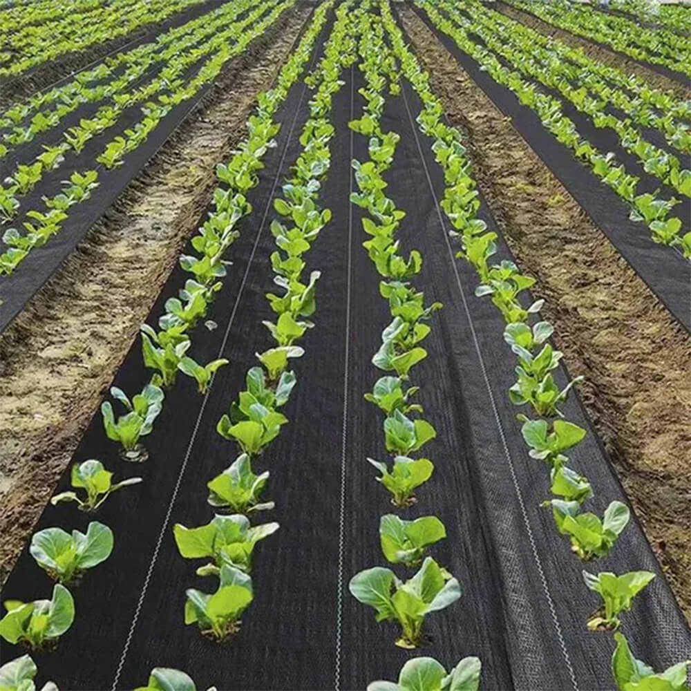 tela antihierbas fábrica