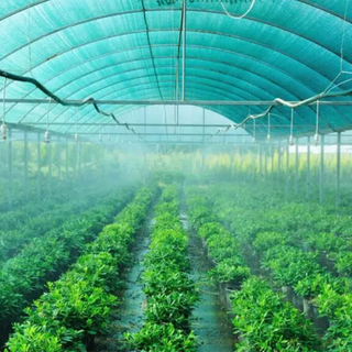 Red de sombra de tres agujas con cinta verde