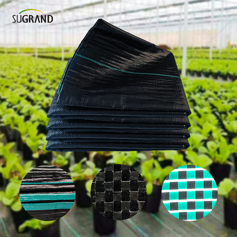 Cubierta de tierra negra de 105 gsm/tapa de maleza con agujeros para jardines