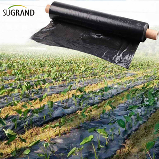 Biotelo Mulching de la película de mantillo biodegradable