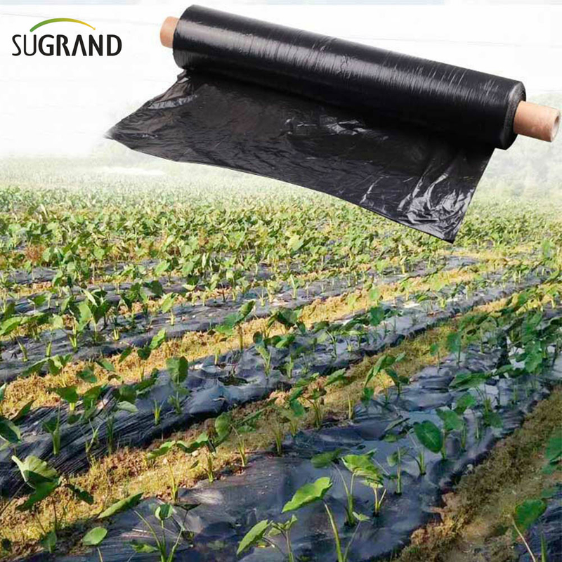 Biotelo Film Acolchado Biodegradable Agriplast Mulching